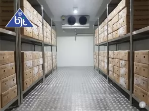 Cold Room: Solusi Penyimpanan Dingin untuk Produk Segar dan Sensitif Suhu